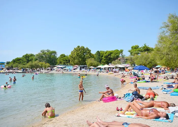 House Violica Дом отдыха *